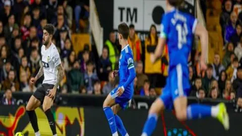 “范大将军跃水瞬间吸睛，导师加尔反应成热议焦点”