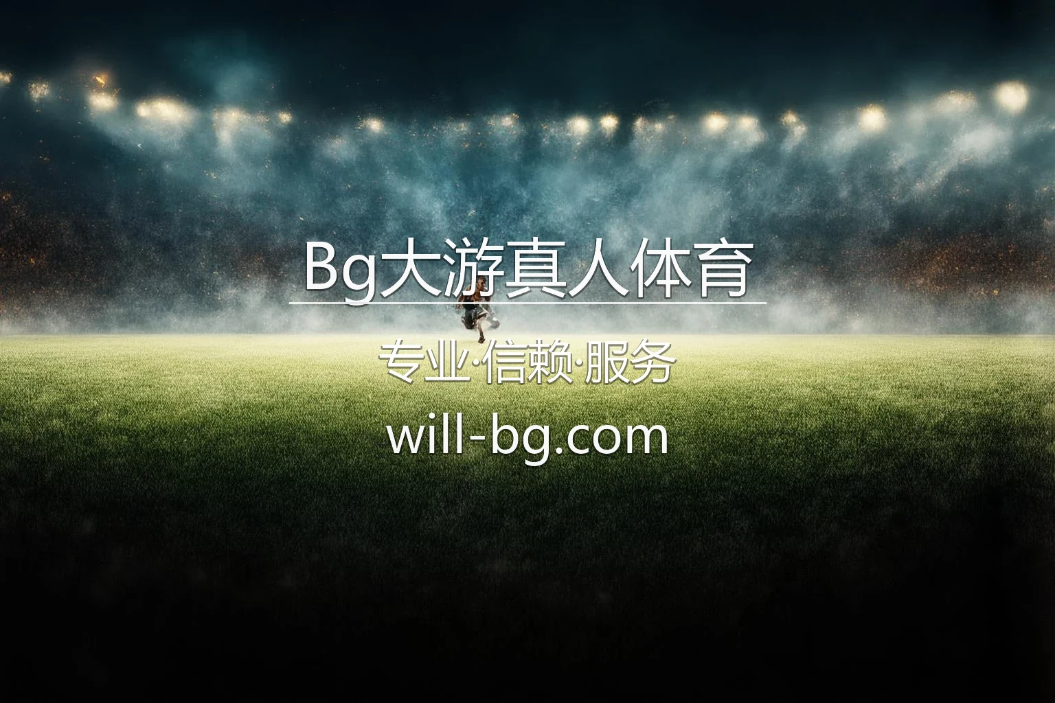 Bg大游真人体育官方平台展示